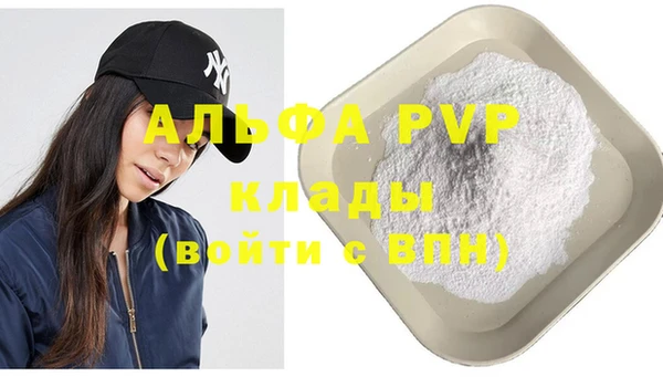 индика Цоци-Юрт