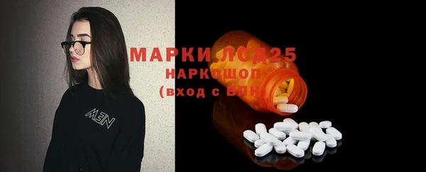 индика Цоци-Юрт